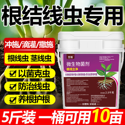 根线虫专用药淡紫紫孢菌大姜番茄辣椒农用大棚果树根结线虫专用药