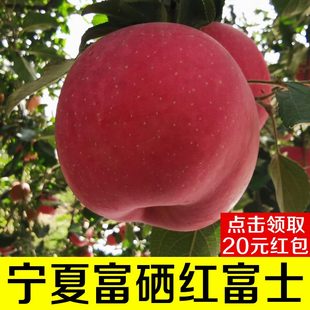 新鲜苹果宁夏红富士沙坡头苹果脆甜多汁冰糖心孕妇水果10产地直销