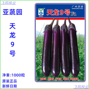 烧烤茄 高温不易褪色1000粒装 紫红长茄 亚蔬 天龙9号茄子种子