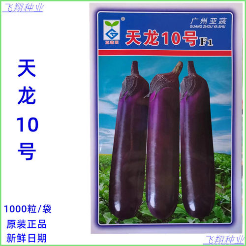 天龙10号茄子种子中熟深紫色亮丽可作烧烤茄耐高温春秋季茄子种孑