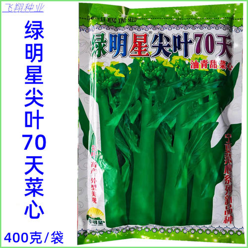亚明绿明星尖叶70天菜心种子基地专用油青甜菜花春秋冬季蔬菜种孑