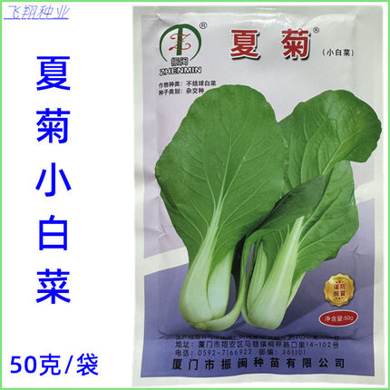 振闽夏菊小白菜种子杂交不结球速生白菜快菜种籽春夏秋季蔬菜种孑