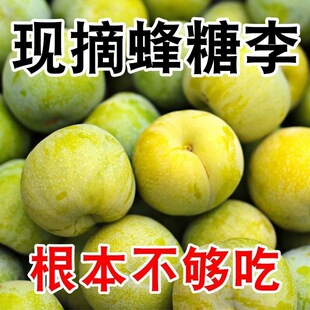 正宗重庆脱骨蜂糖李青脆李新鲜产地水果当季现摘孕妇水果脆甜青李