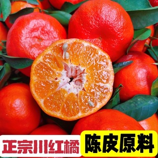 四川红橘万州古红桔新鲜川红柑橘古老树陈皮万县四川大红袍柑橘子