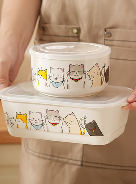 分隔三格分格陶瓷饭盒上班族2024新款带饭神器便当盒汤碗汤杯餐盒