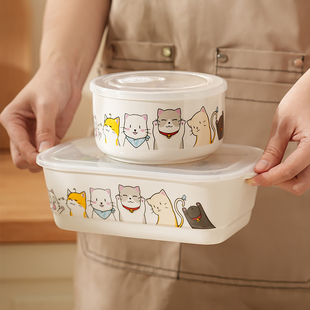 分隔三格分格陶瓷饭盒上班族2024新款带饭神器便当盒汤碗汤杯餐盒