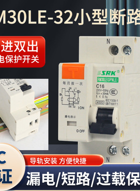 人民空开DPNLE双进双出20C32A小型漏电断路器保护RM30LE家用220V