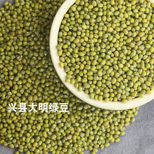 新绿豆吕梁农家自种新能发豆芽 有机绿豆粥非转基因绿豆汤
