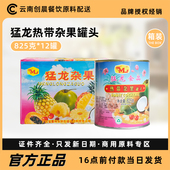 猛龙食品热带杂果罐头825g 12罐即食混合什锦水果披萨烘焙原料包