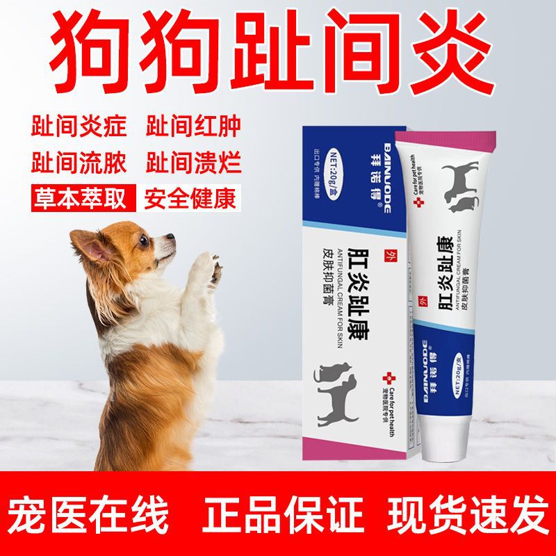 狗狗趾间炎脚趾炎指尖炎感染真菌脚趾烂红肿溃抑菌止痒外用药