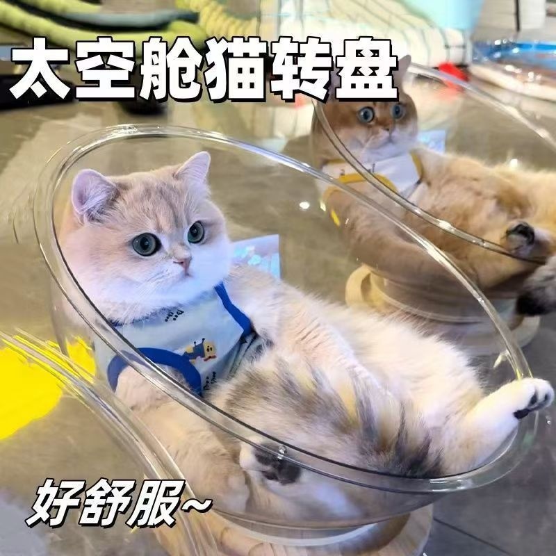 太空舱猫窝亚克力舱体四季通用夏季猫窝猫咪玩具一体