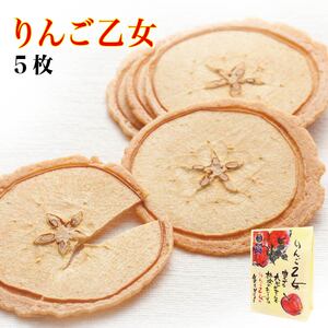 日本 りんご乙女苹果少女轻信州苹果饼干 轻井泽特产苹果果片煎饼