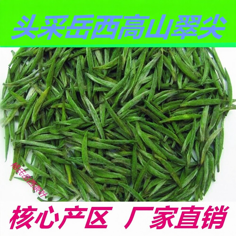2026年新茶明前头采岳西翠兰茶叶