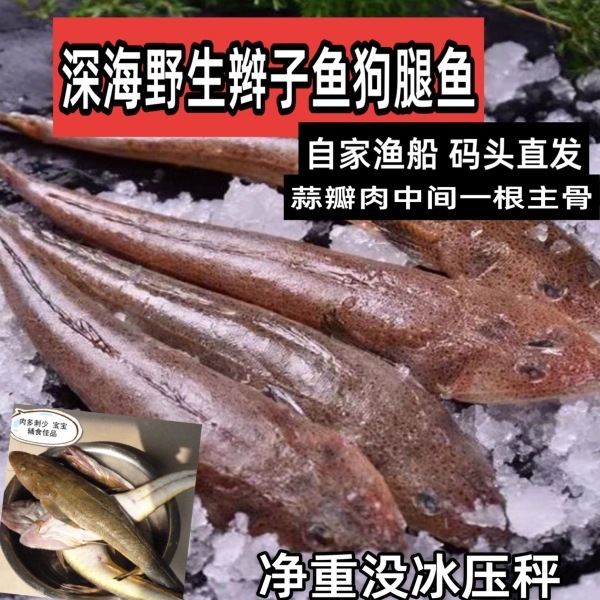 现捕现发海捕辫子鱼 牛尾鱼 也叫狗腿鱼蒜瓣肉6斤