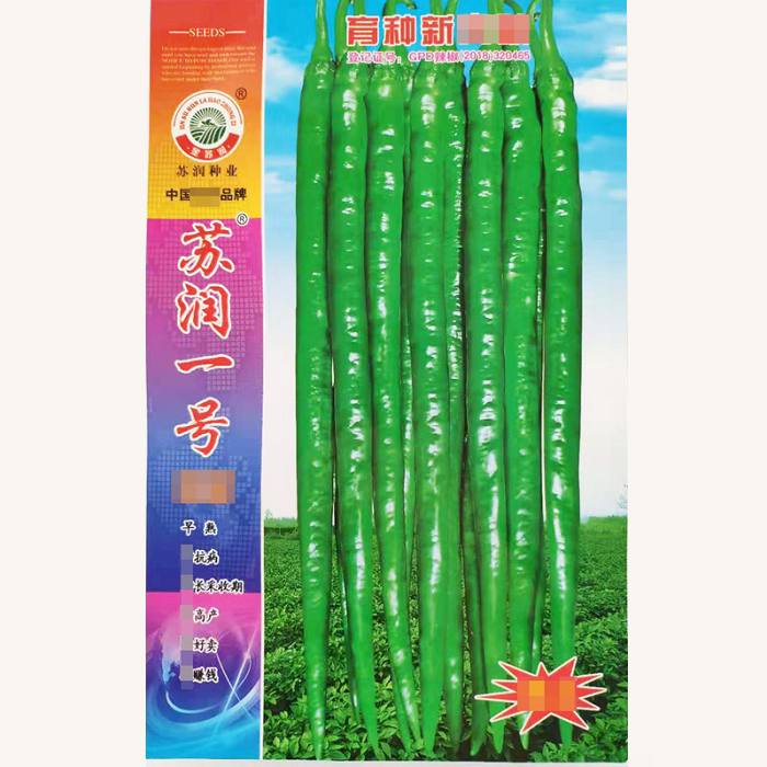 苏润一号/998/早长龙辣椒种子早熟超长线椒种子顺直条椒种籽高产