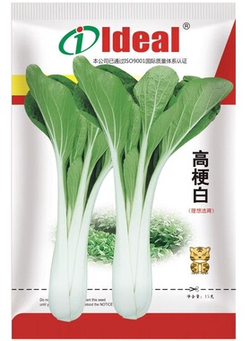 高梗白种籽 特长梗小白菜种子 高梗青长梗青菜种子 秋季蔬菜种孑
