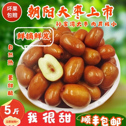 朝阳大枣孙家湾大枣5斤顺丰包邮鲜枣脆枣平顶枣家枣东北大枣