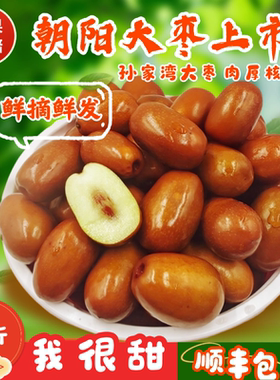 朝阳孙家湾大枣5斤鲜枣顺丰包邮