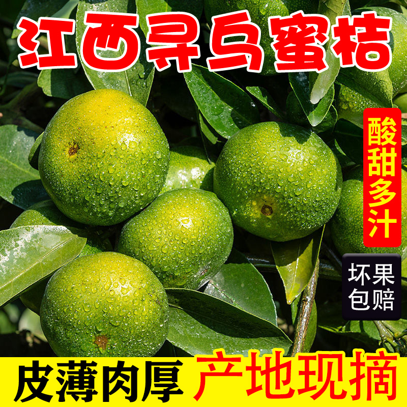 信必果 江西贛南尋烏蜜桔5斤10斤新鮮水果桔子當季青薄皮柑橘特産在類目 水產肉類/新鮮蔬果/熟食, 新鮮水果, 桔子中 - 來自Buy2taobao.com提供專業的淘寶代購服務