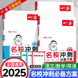 2025新版一本名校冲刺必备方案小升初语文数学英语小学生四五六年级考点专题专项训练书小学升初中总复习考试真题知识大集结练习册