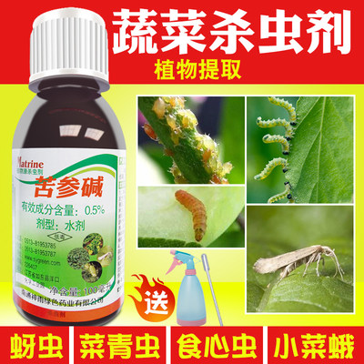 蚜虫专用药无毒蔬果苦参碱