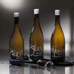 矿物感迸发！法国卢瓦尔河谷贝蒂尔酒庄燧石长相思干白葡萄酒