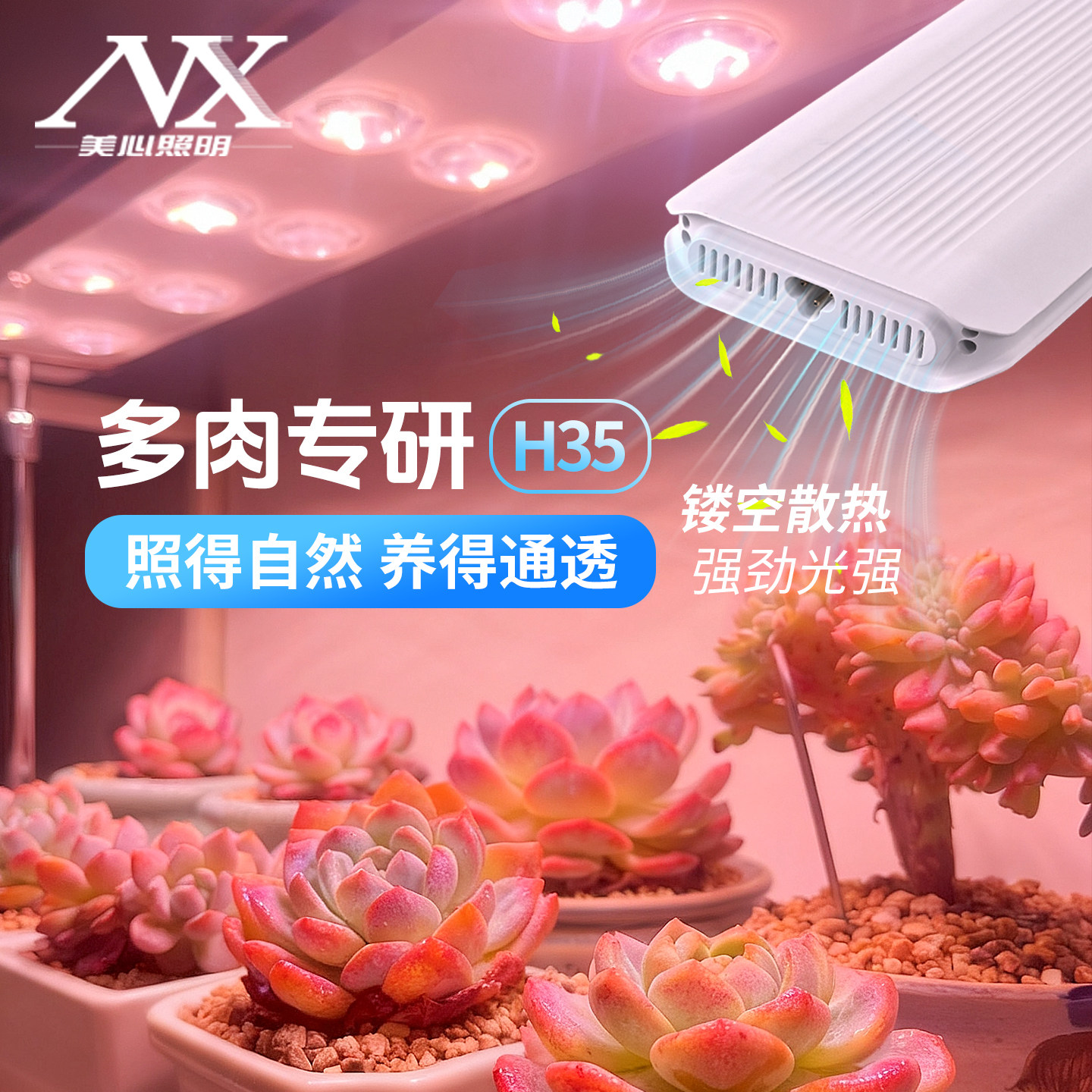 透镜灯排MAX 多肉补光灯家用上色防徒植物生长灯全光谱仿太阳光灯,家装灯饰光源,植物生长灯,淘宝优惠券,粉丝福利购,淘宝优惠卷
