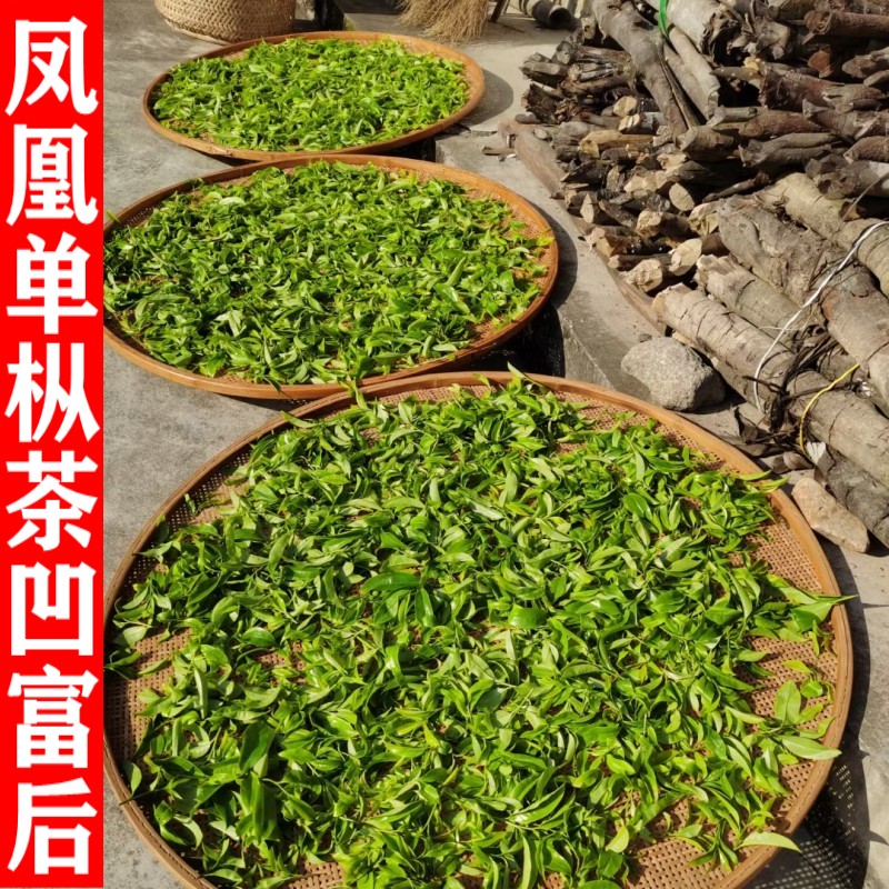潮州凤凰单枞茶凹富后新春茶高山乌龙茶乌岽单丛单从茶叶散装500g