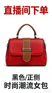 女款A001-A199新款时尚百搭手提单肩斜挎包丝巾高级感包