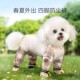 宠物防脏腿套小狗狗四脚防尘裤 遛狗防脏神器 防水防尿小型犬外