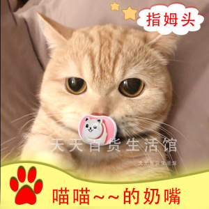小猫咪安抚奶嘴宠物猫用安抚奶嘴专用神器新生幼犬幼猫睡觉磨牙玩