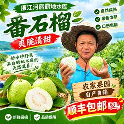 广东廉江江白心芭乐番石榴10年老树自然清甜现摘现发新鲜珍珠芭乐
