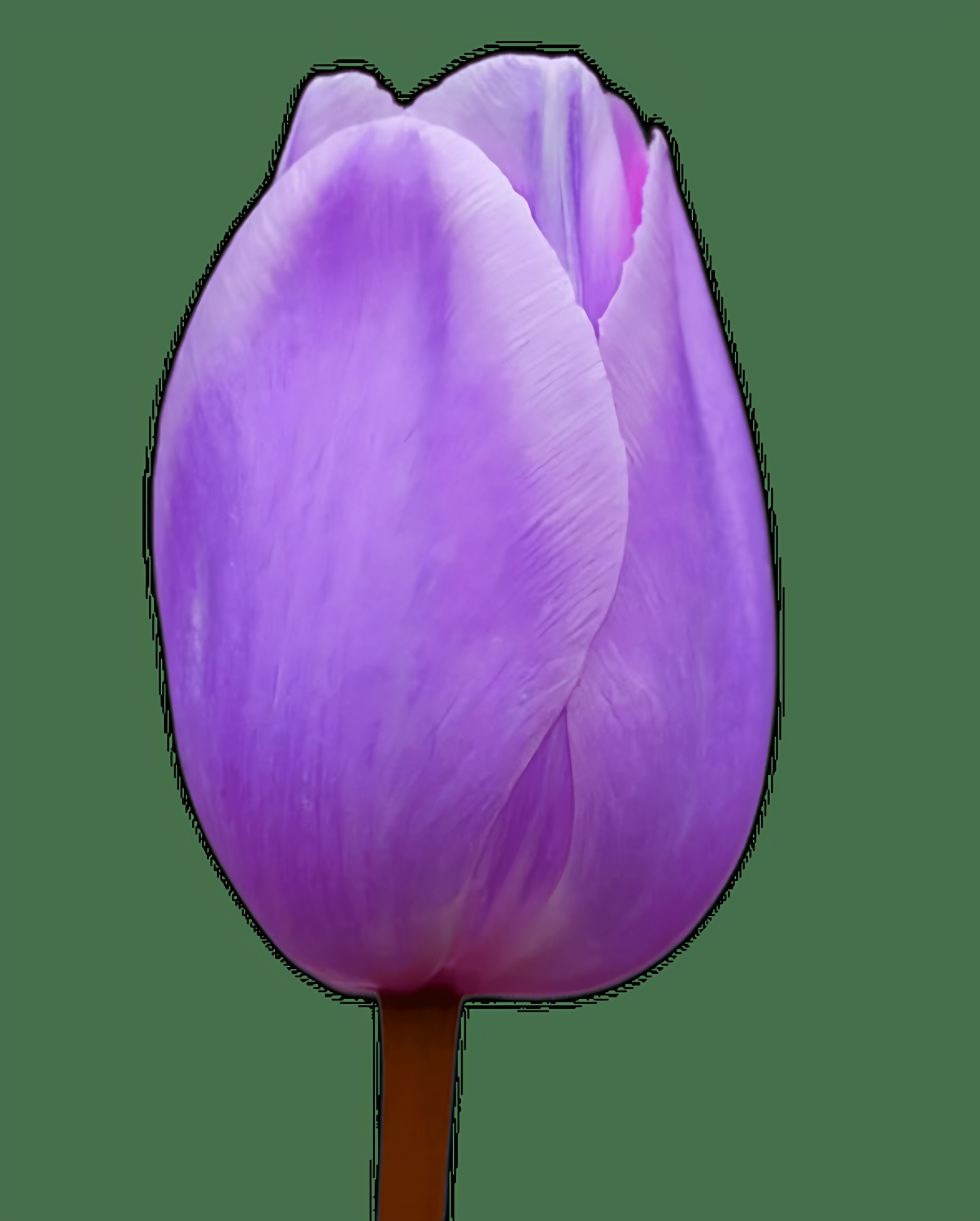 预定大额有价券