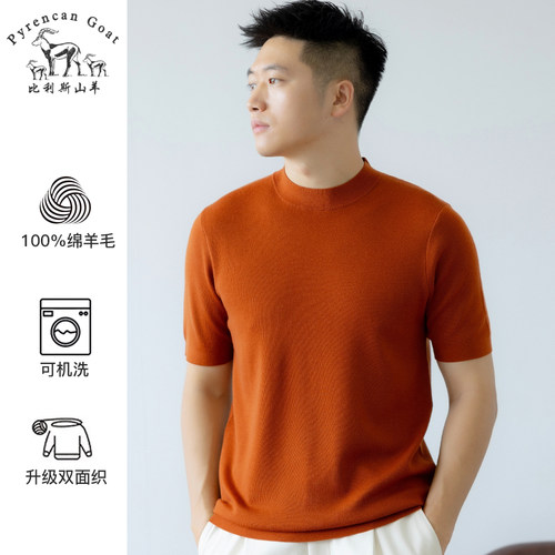 -美丽诺钻石纯羊毛- 可机洗秋季男士纯色圆领短袖T恤针织打底衫