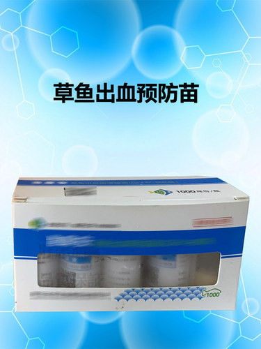 草鱼出血病预防1000尾草鱼苗寸鱼成鱼30尾及以上鱼苗