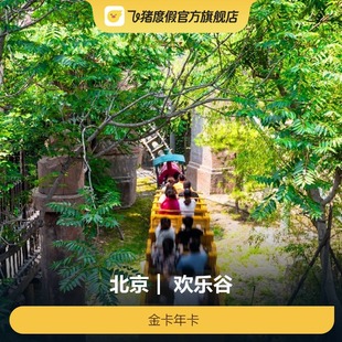 [北京欢乐谷-金卡年卡]北京欢乐谷