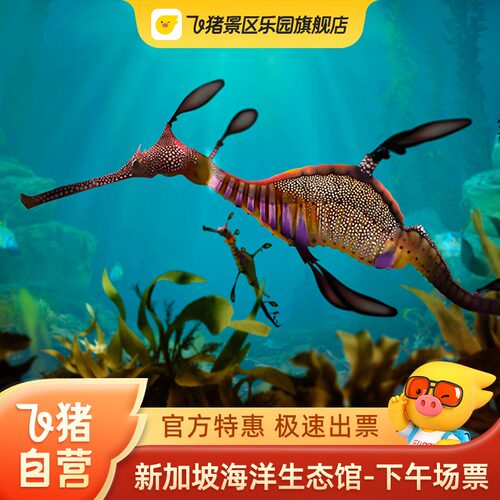[新加坡海洋生态馆-下午场票]下午16:00以后入园，赠5新币餐饮+5新币零售代金券