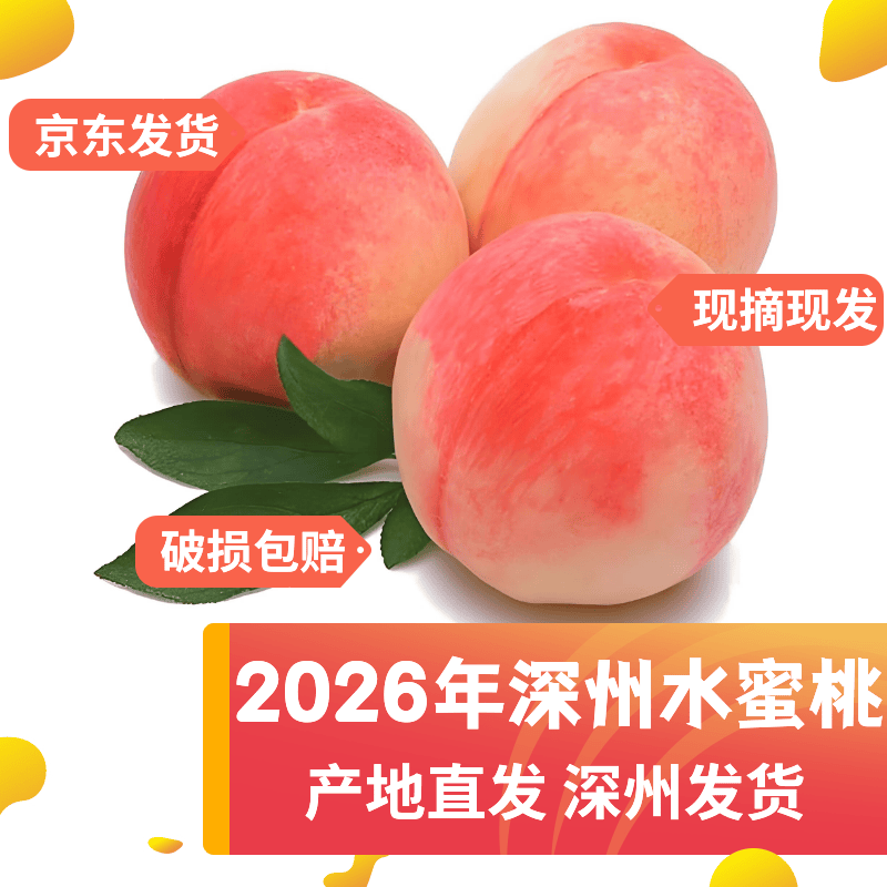深州水蜜桃 5斤装 2026 年新桃子 突围桃 现摘现发 坏果包赔