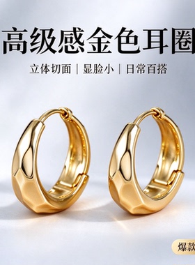欧美爆款高级感椭圆形金属耳环精致耳扣女气质简约耳饰通勤百搭
