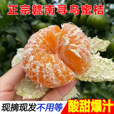正宗寻乌蜜桔 江西赣南新鲜水果5斤10斤酸甜多汁无籽青皮柑橘子