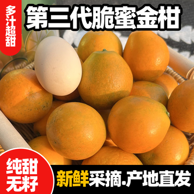 正宗广西融安脆蜜金柑第三代金桔