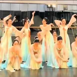 上春山表演出服装中国风舞蹈服大摆裙表演出服装古典舞纱衣练功服