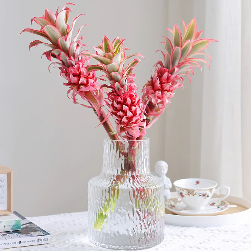 观赏小菠萝鲜花黑凤梨鲜切花室内水培植物花卉水果花束云南直发,鲜花速递/花卉仿真/绿植园艺,花材,淘宝优惠券,粉丝福利购,淘宝优惠卷