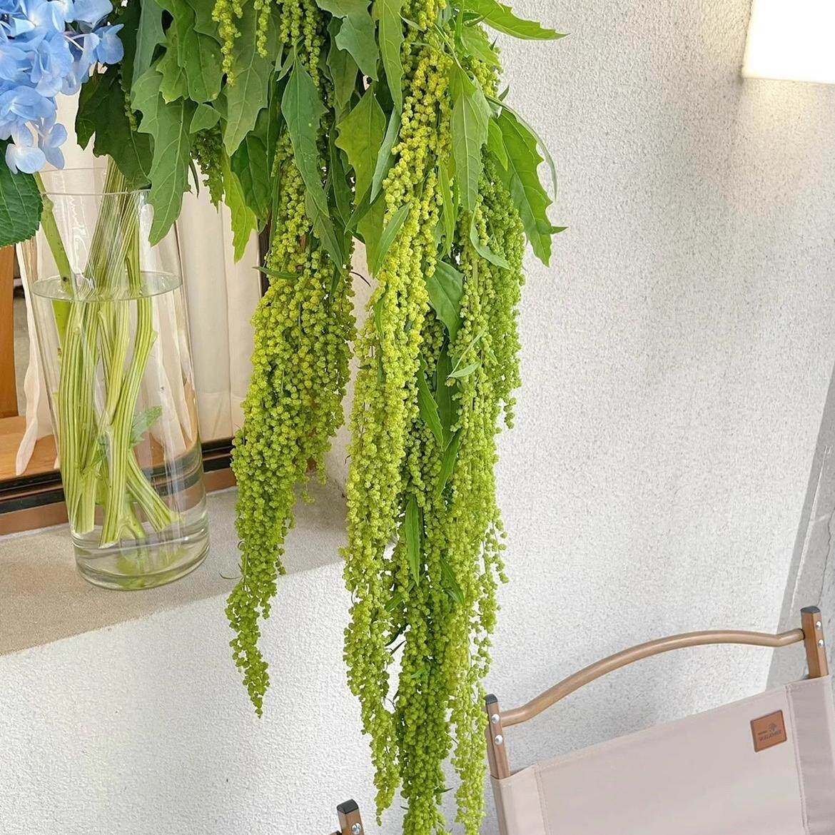 柔丽丝鲜花速递吊米鲜花云南鲜花直发水养花婚庆用花办公室插花