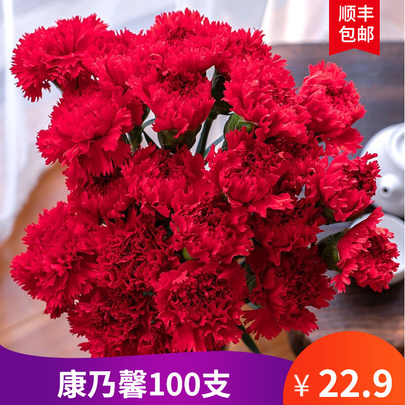 康乃馨鲜花单头支云南发家居养插花送父母亲节活动花束