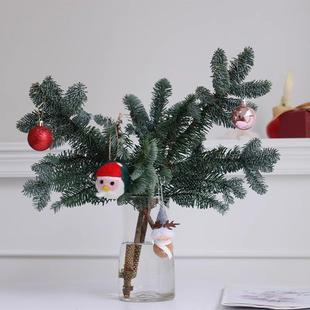 进口诺贝松松枝鲜切绿植真树家用小型圣诞树diy枝条装饰植物鲜花