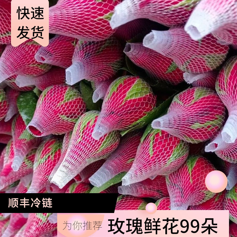 真花无刺玫瑰花99朵套餐u家用水养办公室插花云南发货全国送礼物