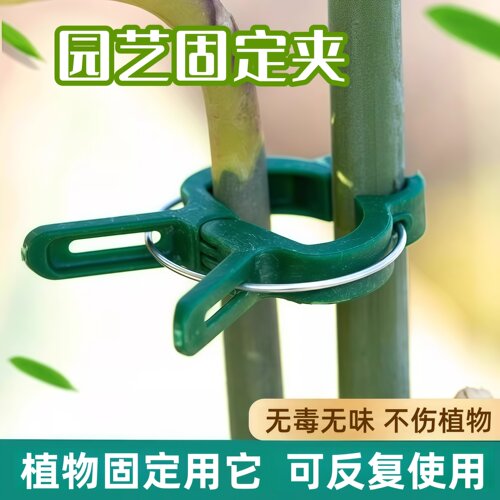 园林夹植物枝条固定夹园艺花卉蝴蝶兰支架夹子扣塑料园艺工具夹子