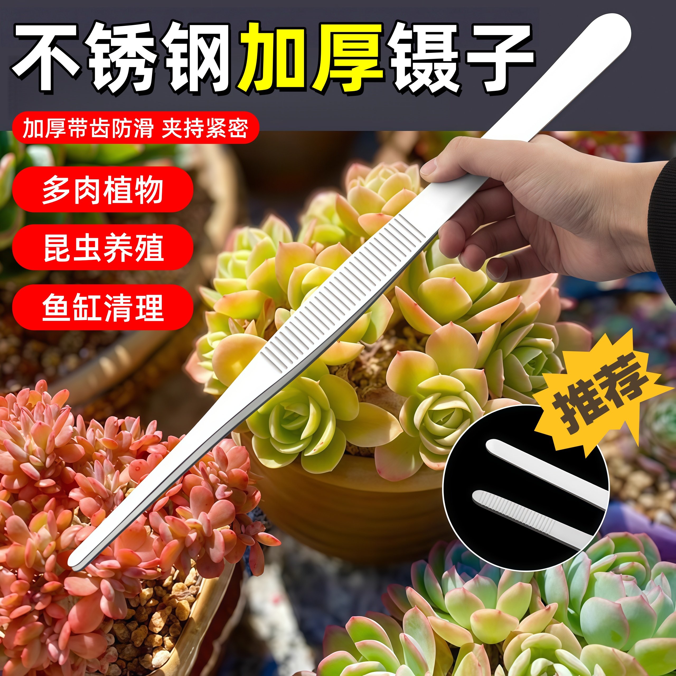 不锈钢镊子带齿大号加长加厚