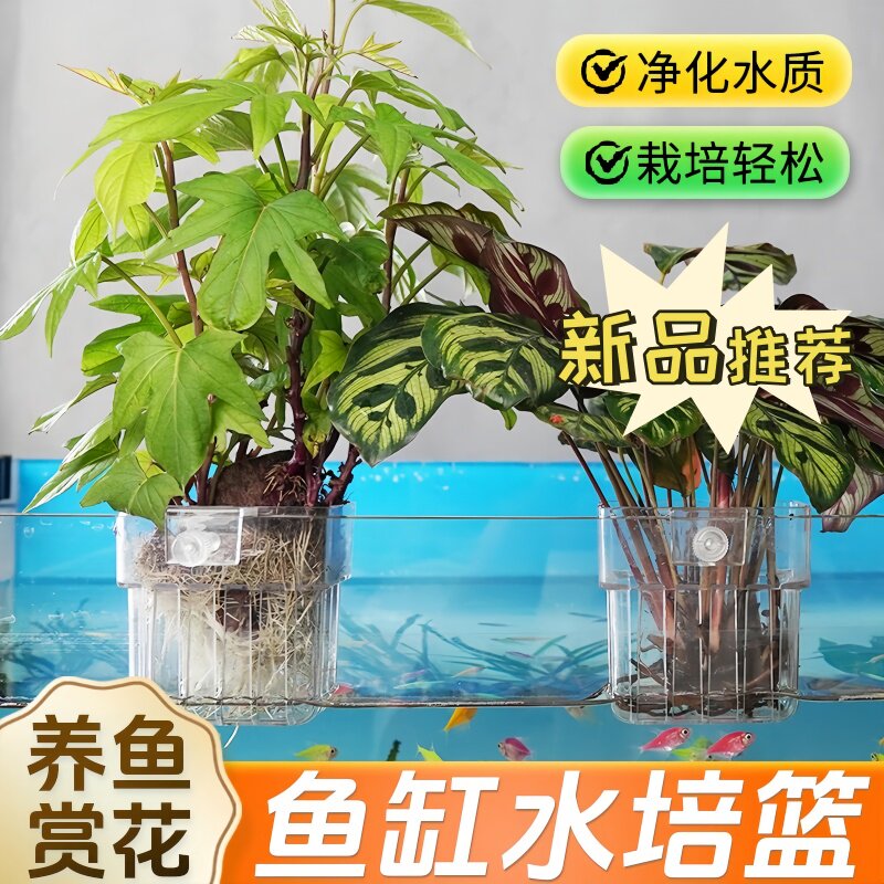 装在鱼缸里的大自然】水培植物篮水草种植鱼缸造景装饰旋钮壁挂篮